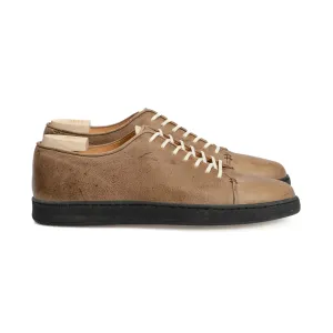Harlestone Derby - Gaucho Nacktkudu