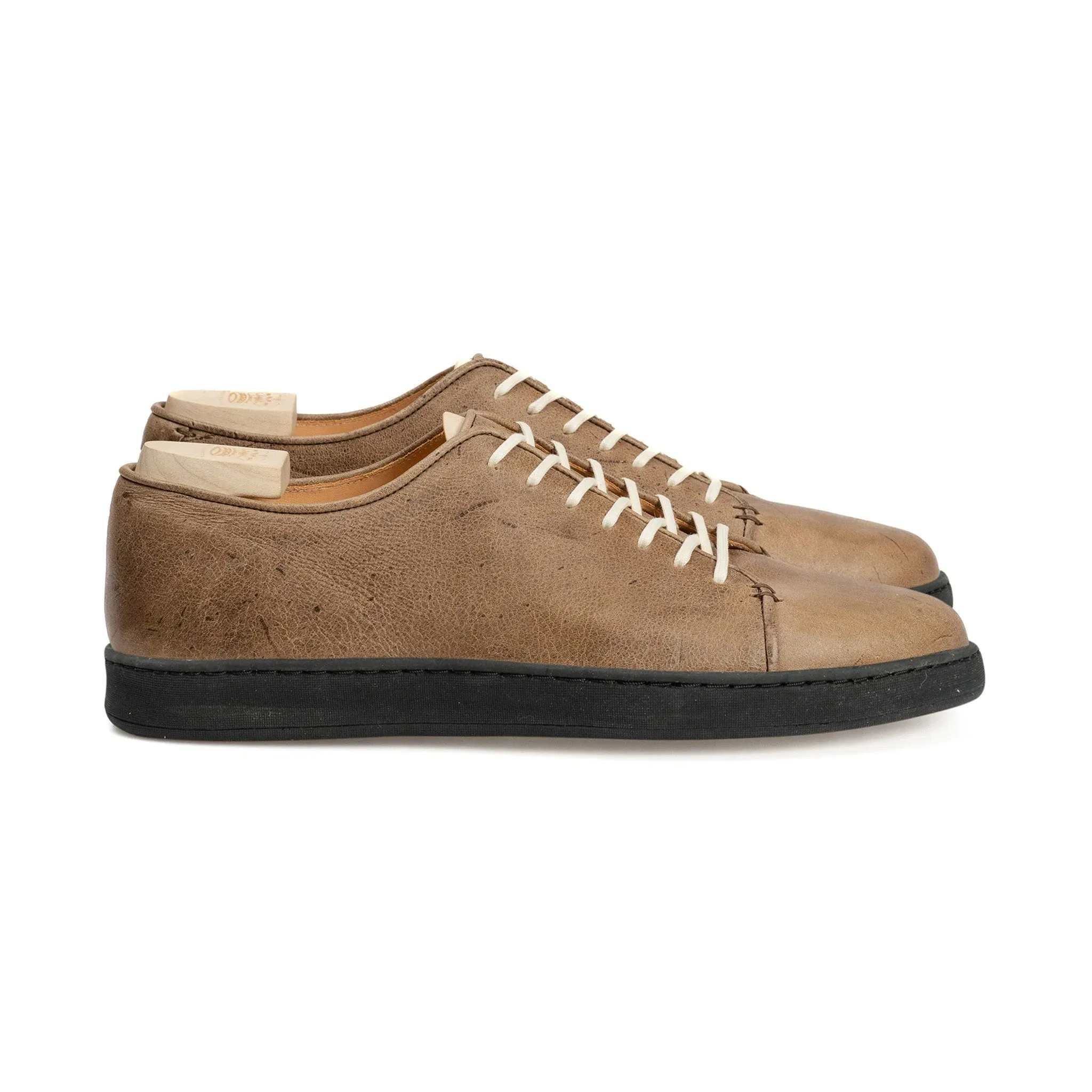 Harlestone Derby - Gaucho Nacktkudu