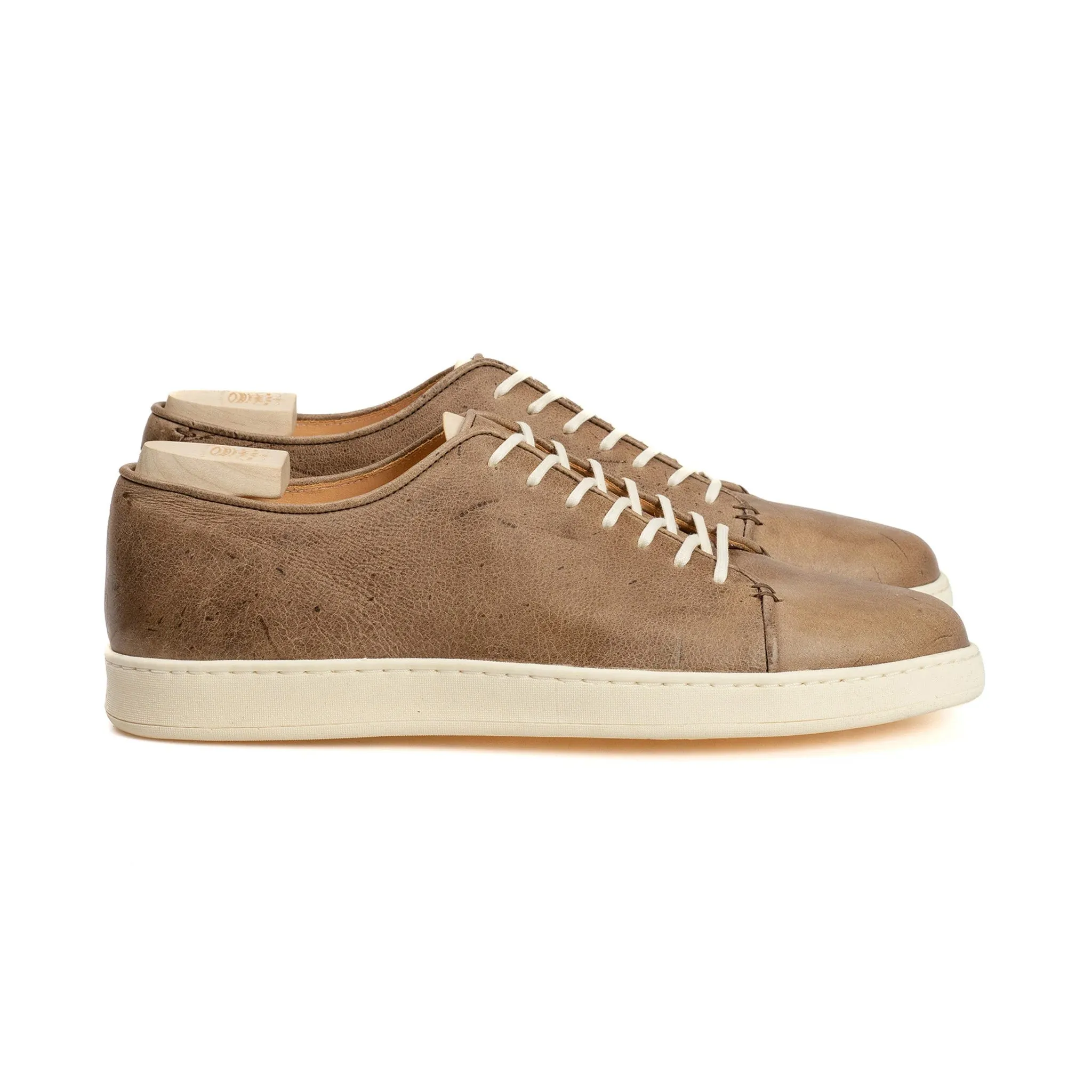 Harlestone Derby - Gaucho Nacktkudu