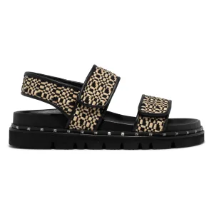 Homers Damen Bio Ibiza Schwarz
