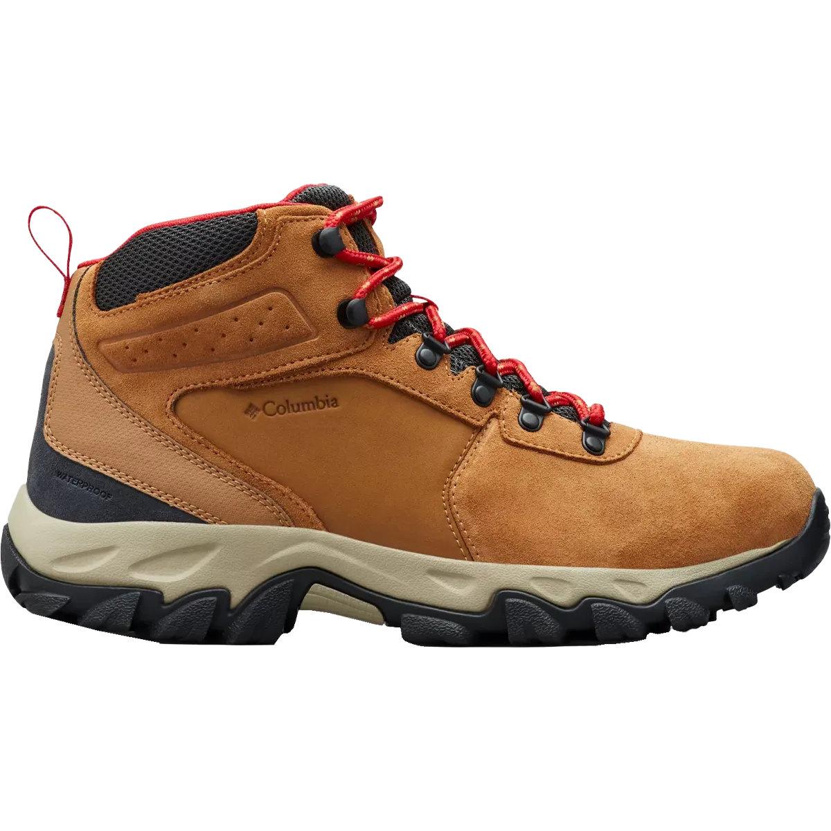 Herren Newton Ridge Plus II wasserdichte Asics-Schuhe