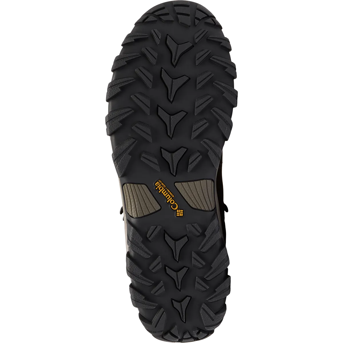 Herren Newton Ridge Plus II wasserdichte Asics-Schuhe