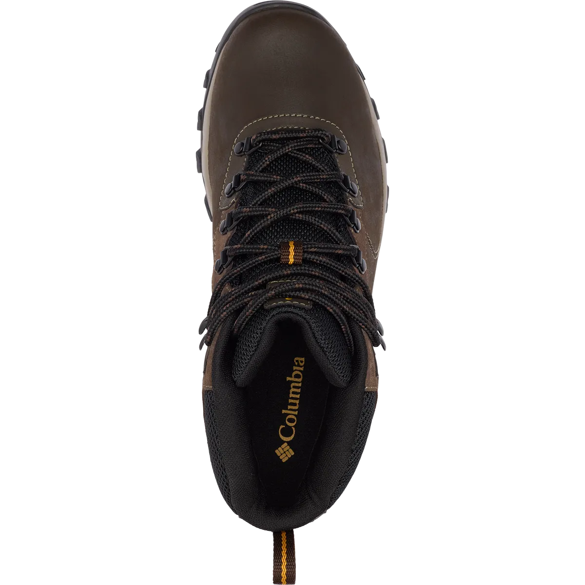 Herren Newton Ridge Plus II wasserdichte Asics-Schuhe