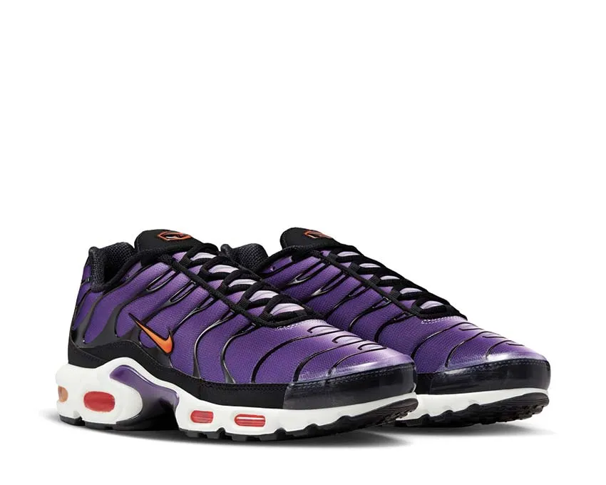 Nike Schuhe Nike Air Max Plus OG