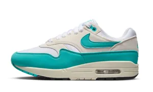 Nike Sneakers Nike Air Max 1 Dusty Cactus (D)
