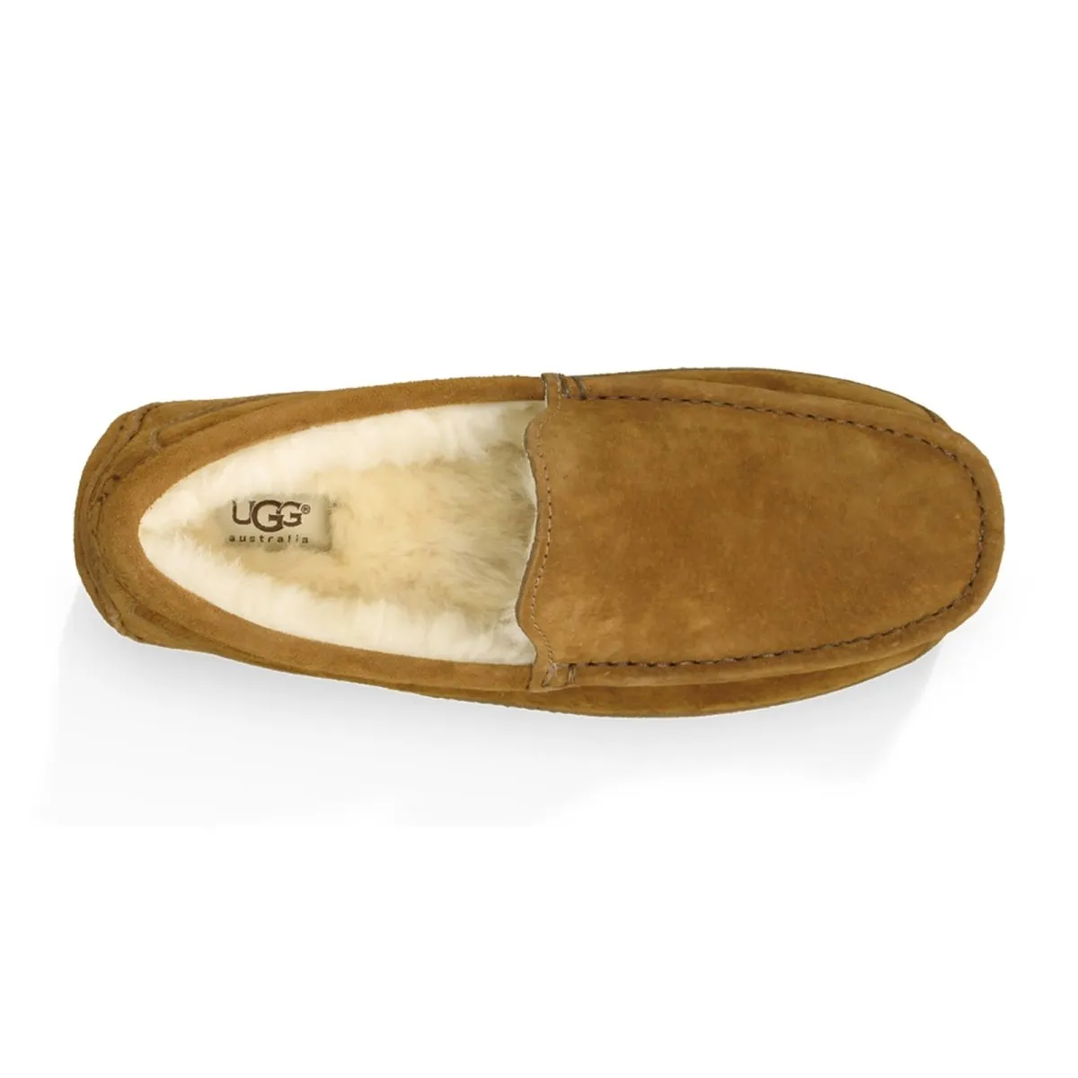 UGG Herren Ascot Kastanienbraun Wildleder UGG Schuhe