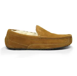 UGG Herren Ascot Kastanienbraun Wildleder UGG Schuhe