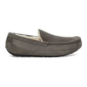 UGG Herren Ascot Graue Wildleder UGG Schuhe