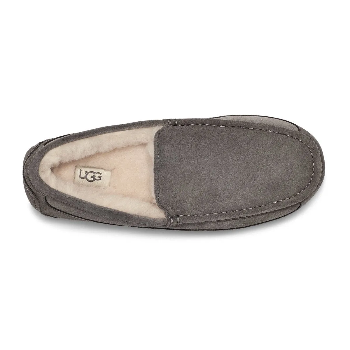 UGG Herren Ascot Graue Wildleder UGG Schuhe