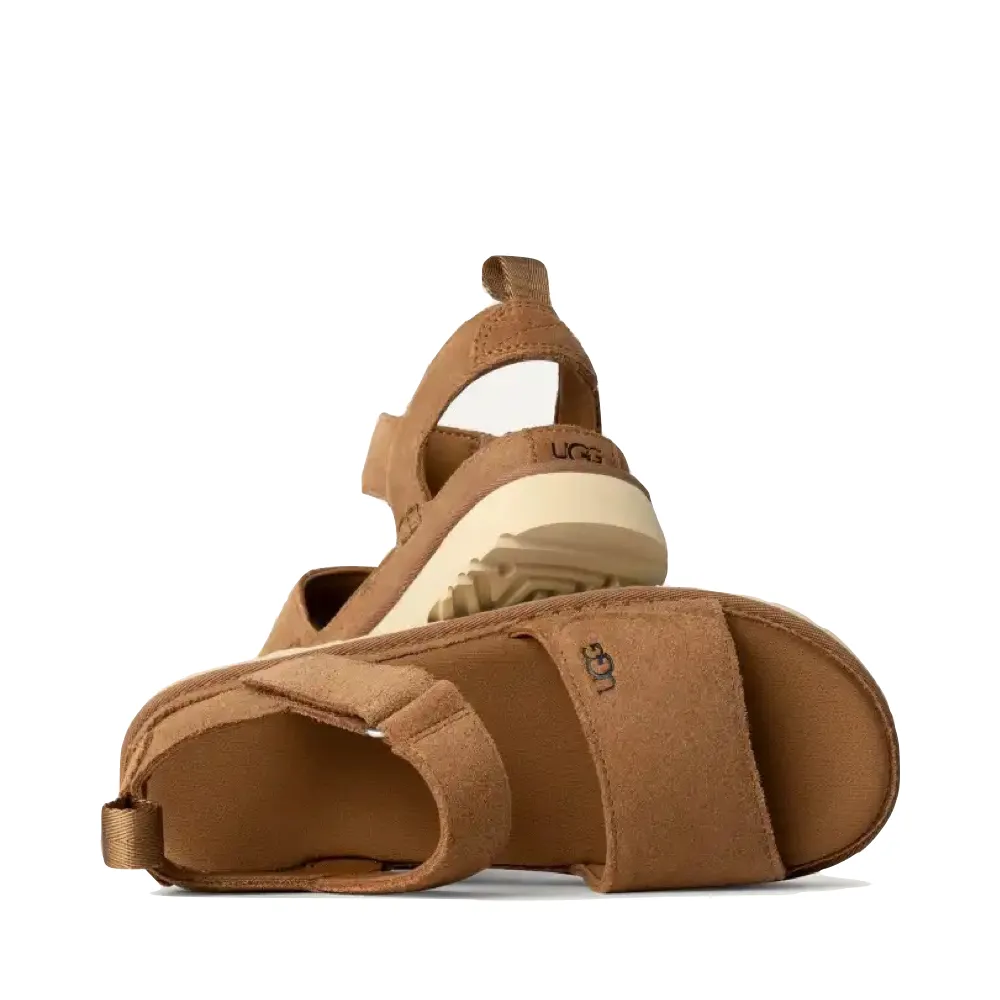 Ugg Damen Goldenstar Plateausandalette in Kastanienbraun